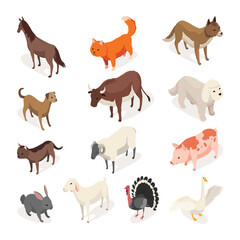 Farm animals isometric set. Domestic animals in 3d back and front view. Cute game character of farm animals. Vector icons