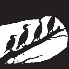 Four Cormorants Silhouetted Perched on a Tree Branch