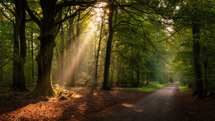 Obraz premium Financial Growth and Investment Concept with Money, Currency Notes and Business Planning