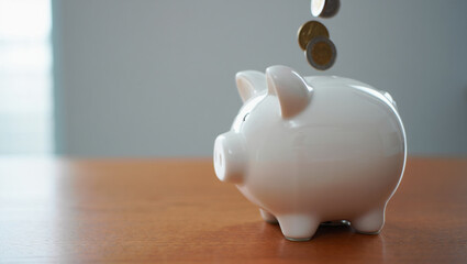 Financial Growth and Investment Concept with Money, Currency Notes and Business Planning