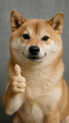 Shiba Inu giving thumbs up.