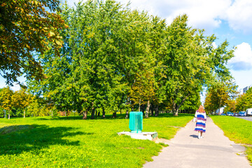 Walking on path in forest nature between trees and plants.