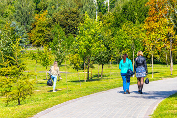 Fototapeta premium Walking on path in forest nature between trees and plants.