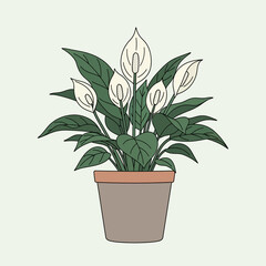 Potted plant with white flowers and green leaves on a light background.