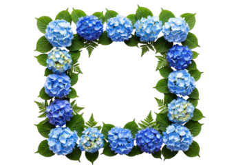 Square frame of blue hydrangeas and green leaves isolated on transparent background