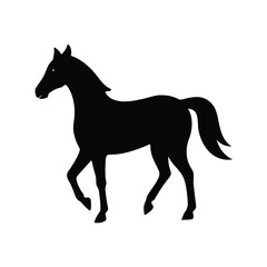 silhouette of a horse