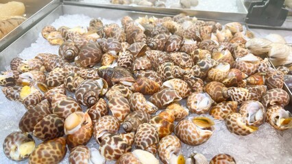 Tiger mussel at local market