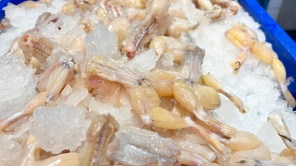 Raw frog in ice