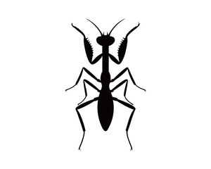 3d praying mantis silhouette design wild bug animal jpg