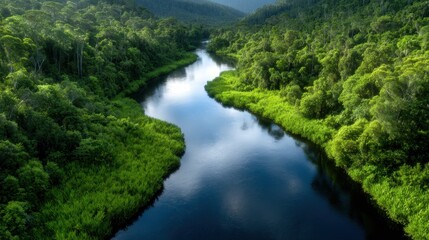An enchanting landscape showcasing a serene riverbank blending lush green foliage with calm waters, evoking peace and tranquility in a majestic natural setting.