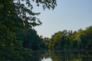 beautiful pond in the forest