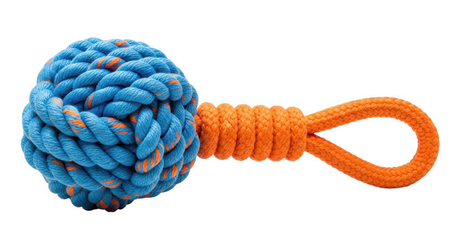 Isolated Dog Toy Ball