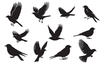 Obraz premium Vector silhouette set of flying wild birds