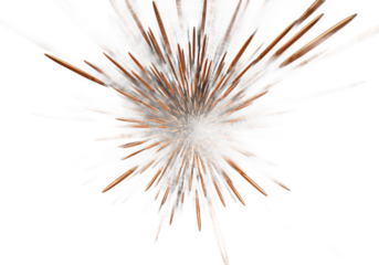 A single bright orange and gold firework explodes outwards with a starburst pattern against a dark night sky isolated on transparent background