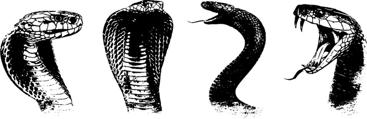 Cobra snake stencil art collection in black and white for design and decor projects