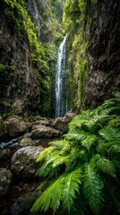Obraz premium High detail photo of a waterfall cascading through lush tropical canyon, ferns in foreground