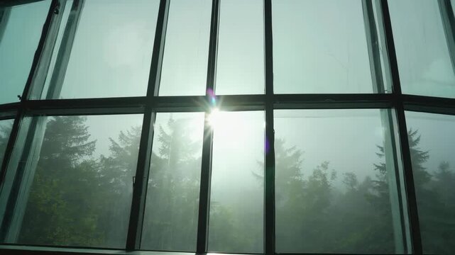 Sunlight shining through tall glass window with misty forest in background, creating peaceful, soft and atmospheric indoor view.