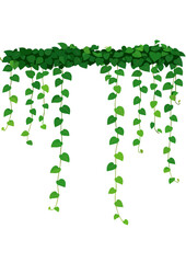 Hanging Green Vines with Heart-Shaped Leaves