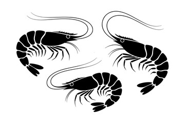 Silhouette  of  shrimp seafood prawns  crustaceans