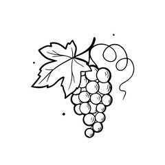 Elegant grape cluster illustration, perfect for vineyard branding and wine related designs, scalable vector