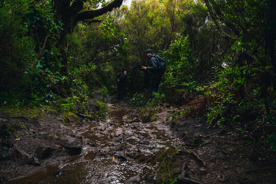 Madeira Feenwald