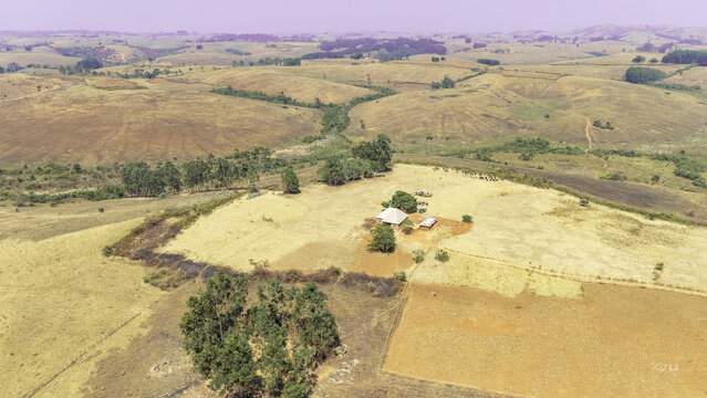 Aerial view of sun-scorched fields meet verdant trees, embracing a humble dwelling under a hazy sky, Njawai, Taraba, Nigeria.