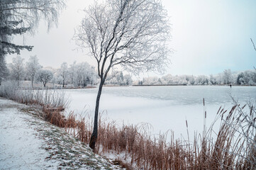 The quiet beauty of a frozen lake is enhanced by soft mist and snowy surroundings, bringing the enchanting calm of the Christmas season