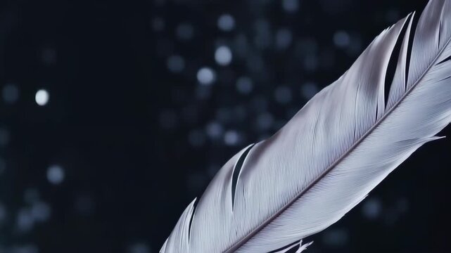 Close-up of a light gray feather against a dark background with bokeh