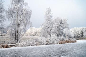 Winter magic on a frozen lake, surrounded by mist and frosted trees in the spirit of Christmas