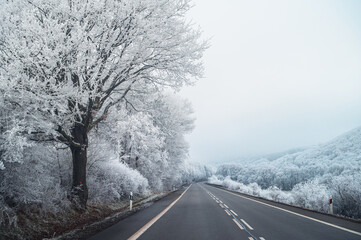 A two-lane road winds through a magical white winter landscape, with snow-covered trees and fields on both sides