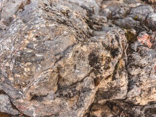 Close-up of a Rough and Textured Gray Rock
