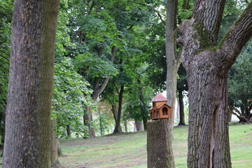 Wooden birdhouse shaped like small castle on tree trunk
