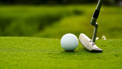 Green grass pattern and texture for background, top view background of garden bright grass concept.