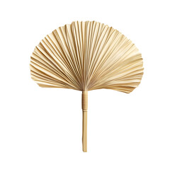 Elegant Palm Leaf Fan for Stylish Wall Decor on White Background