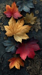Obraz premium Autumn leaves arranged on dark textured background