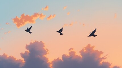 Fototapeta premium Birds Flying in Sunset Sky with Orange Clouds