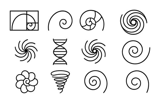 Fractal Spiral Icons Grid. Outline icon set of fractal spirals: golden spiral, logarithmic curve, seashell