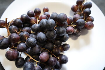 Muscat Hamburg Grapes Close-up on the Vine
