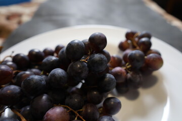 Muscat Hamburg Grapes Close-up on the Vine