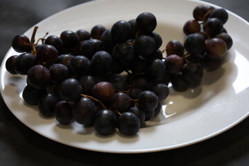 Muscat Hamburg Grapes Close-up on the Vine