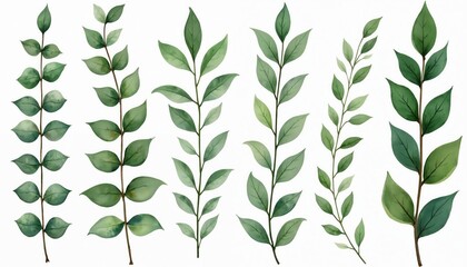 Watercolor collection of botanical eucalyptus, fir tree branches with green plants. Hand-drawn spring floral elements create decorative pattern. Natural elements suitable for invitations, greeting