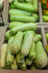 Green zucchini on the counter in a vegetable store