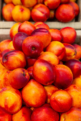 Close-up a lot of fresh red yellow colored peaches on market stall or in groceries shop area. Nectarines background. Fruit food background. Selective focus