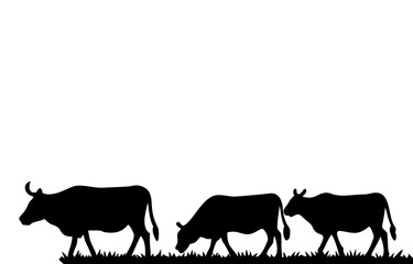 Silhouette of a cow. of farm animals cows 