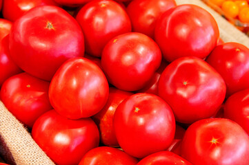 Close-up of many red large tomatoes lying in a large bin on a store counter. Tasty and healthy vegetarian food