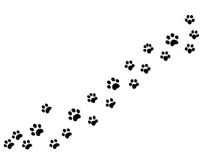 Paw vector foot trail print of cat. Paw dog, puppy, cat vector print, animal, isolated