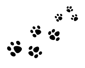 Paw vector foot trail print of cat. Paw dog, puppy, cat vector print, animal, isolated
