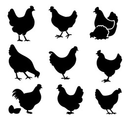 hen chicken icon set. chicken silhouettes, vector Illustration