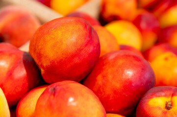 Close-up a lot of fresh red yellow colored peaches on market stall or in groceries shop area. Nectarines background. Fruit food background. Selective focus