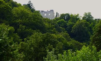 Historic ruins of the old city int a  green forest, Samobor, Croatia